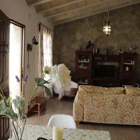 Chalet Mirlo Conil De La Frontera Exterior photo
