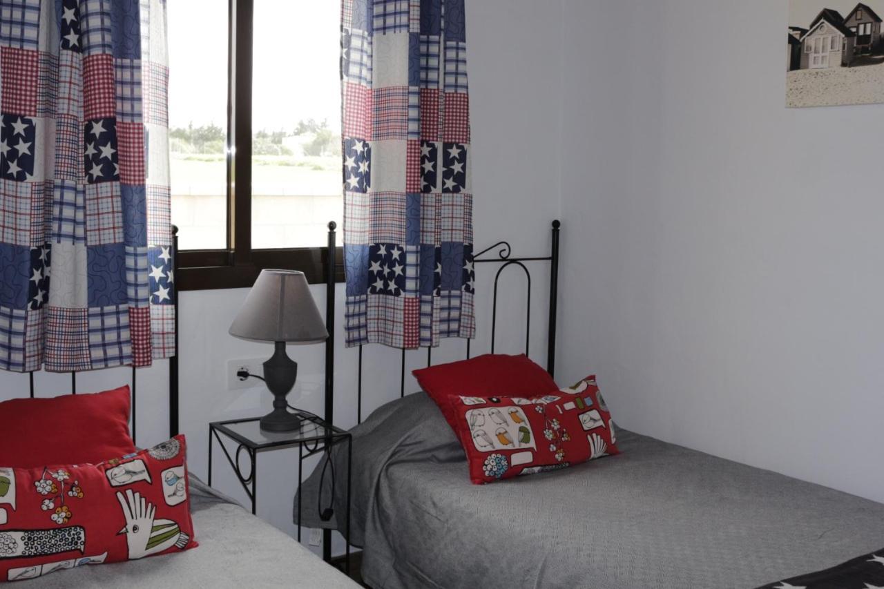 Mirlo Conil De La Frontera